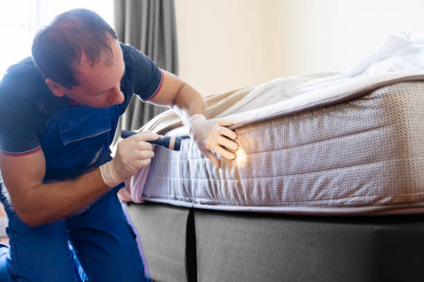 Best Bed Bug Extermination  in Upper Ack, NY